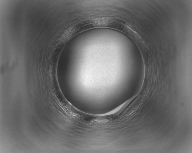 X0000052600209200507081829