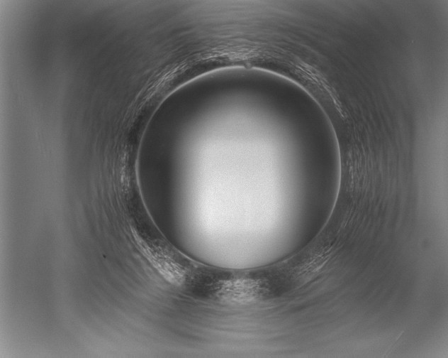 X0000052600212200507081829