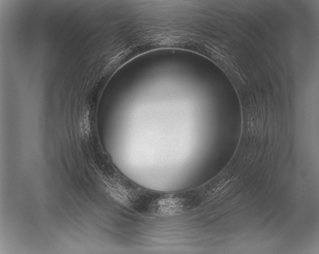 X0000052600216200507081829