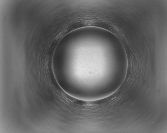 X0000052600221200507081829