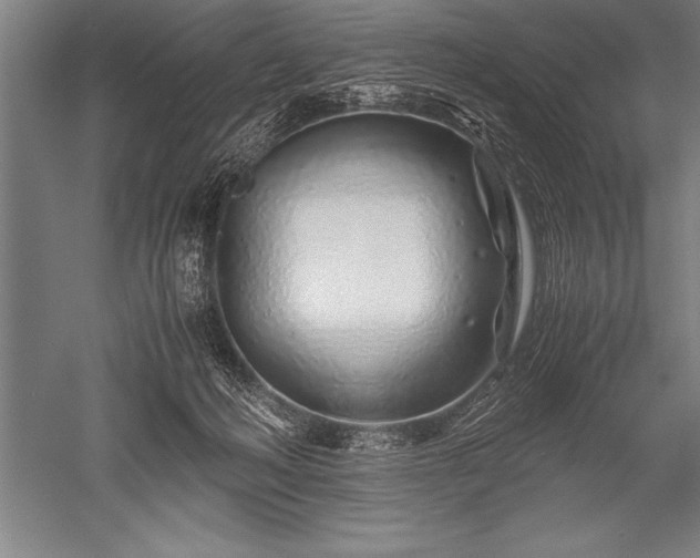 X0000052600222200507081829