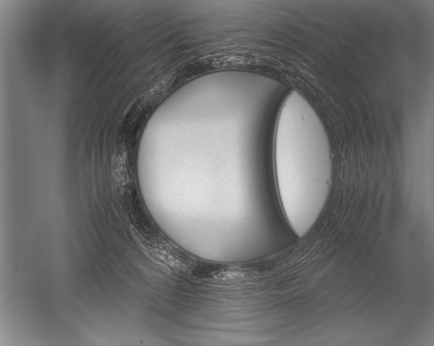 X0000052600224200507081829