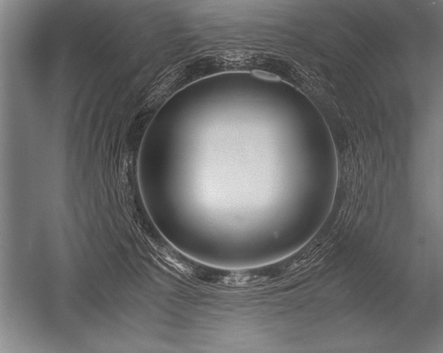 X0000052600225200507081829