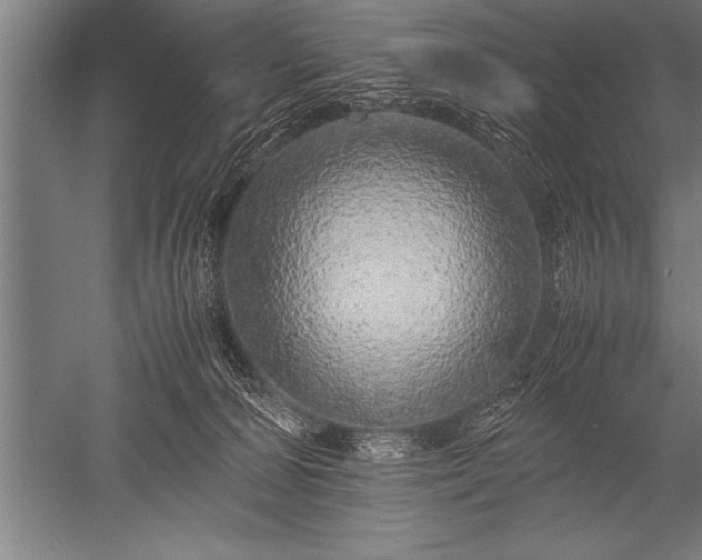 X0000052600226200507081829