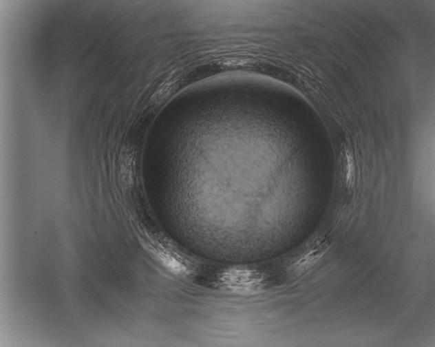 X0000052600227200507081828
