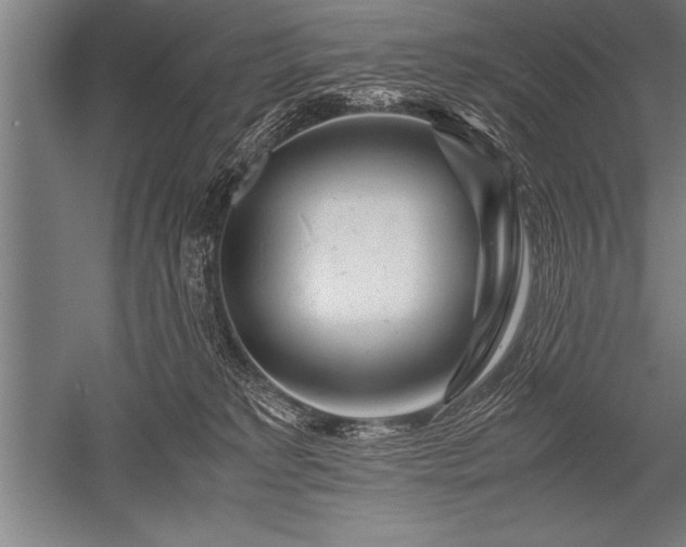 X0000052600229200507081828