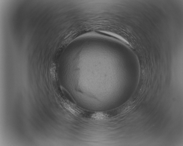 X0000052600231200507081828