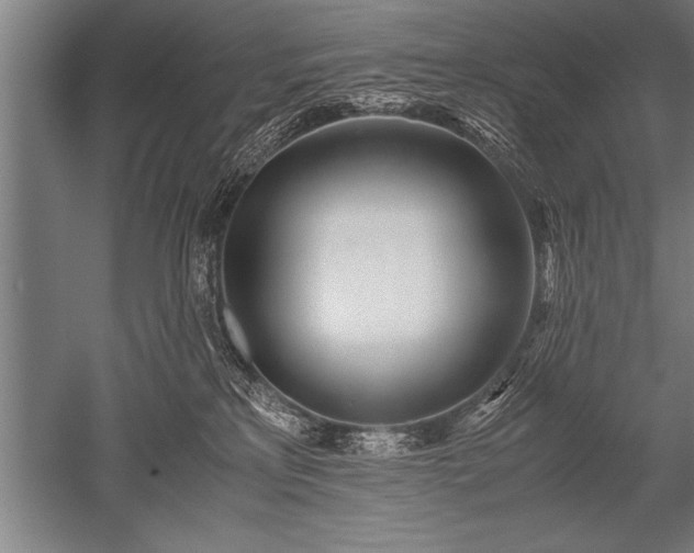 X0000052600233200507081828