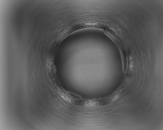 X0000052600235200507081828