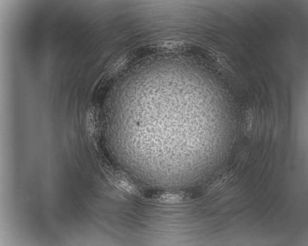 X0000052600236200507081828