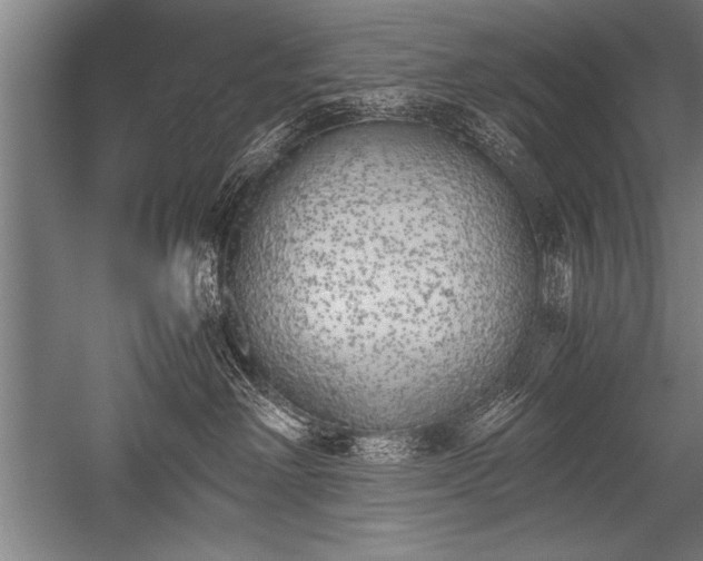 X0000052600238200507081828