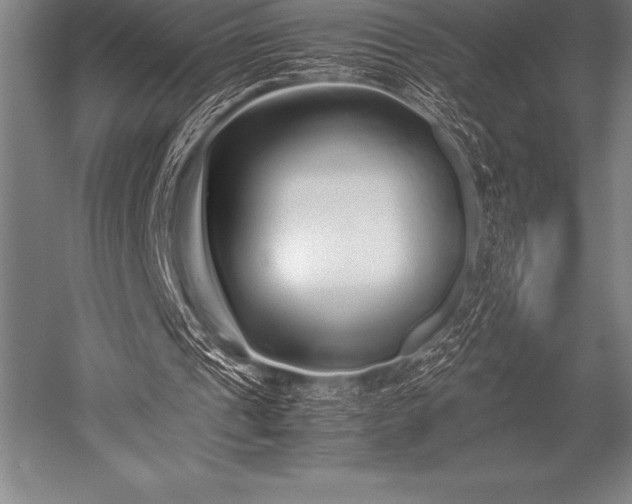 X0000052600241200507081827