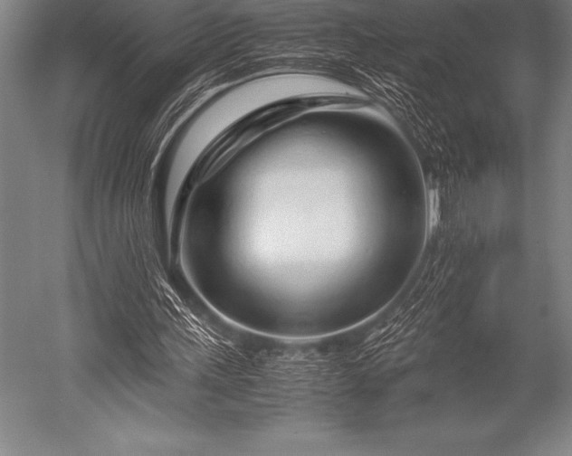 X0000052600243200507081827