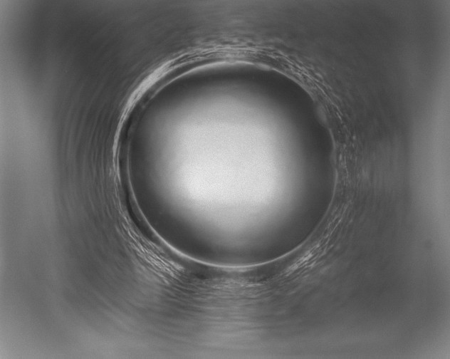X0000052600246200507081828