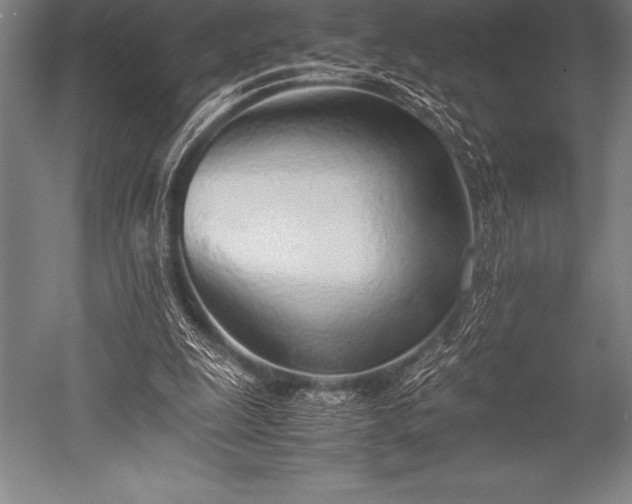 X0000052600247200507081828