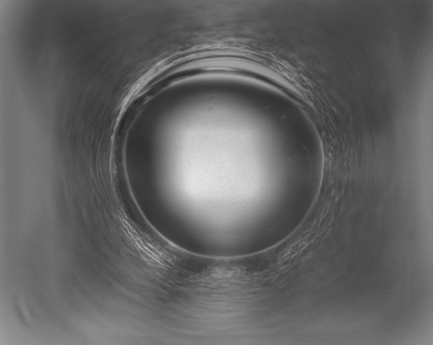 X0000052600248200507081828