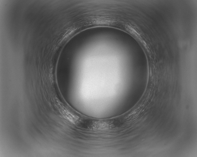 X0000052600249200507081828
