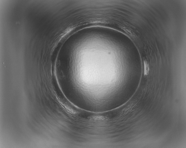 X0000052600253200507081828