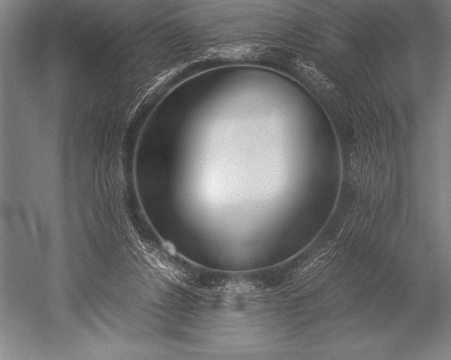 X0000052600256200507081828