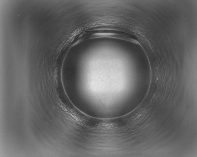 X0000052600260200507081828