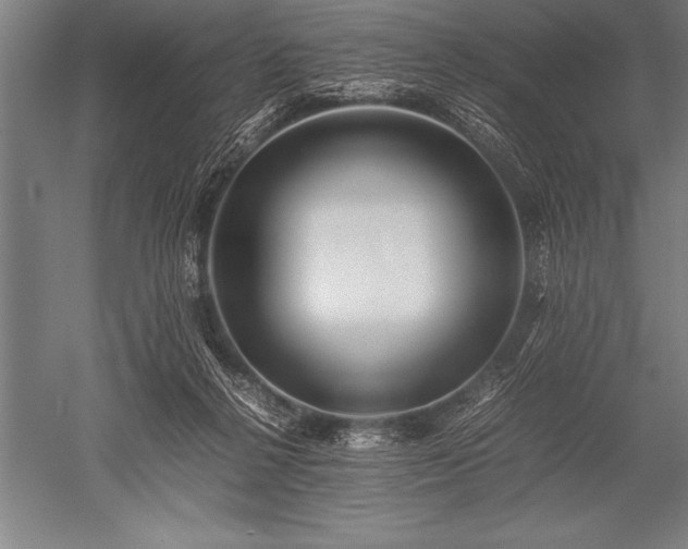 X0000052600264200507081828