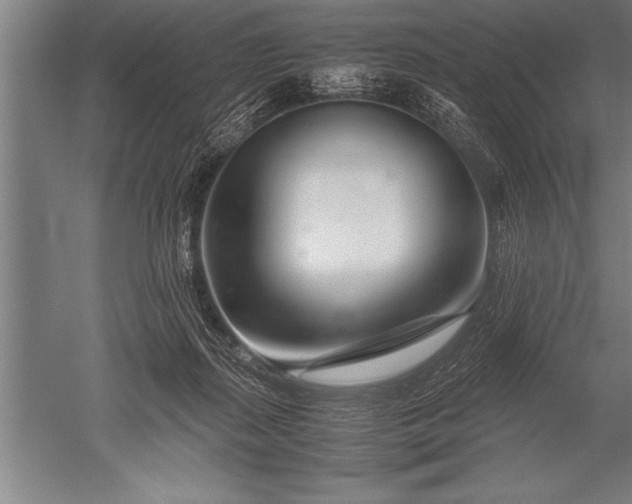 X0000052600267200507081828