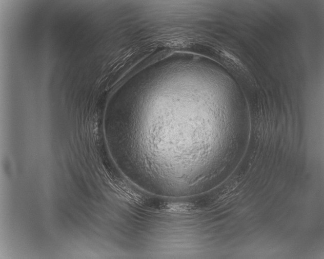 X0000052600268200507081828