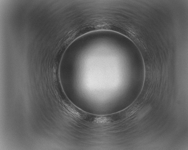 X0000052600269200507081828