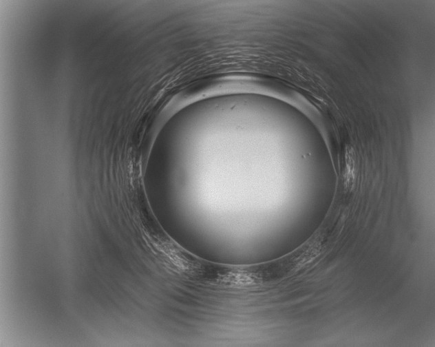 X0000052600276200507081828