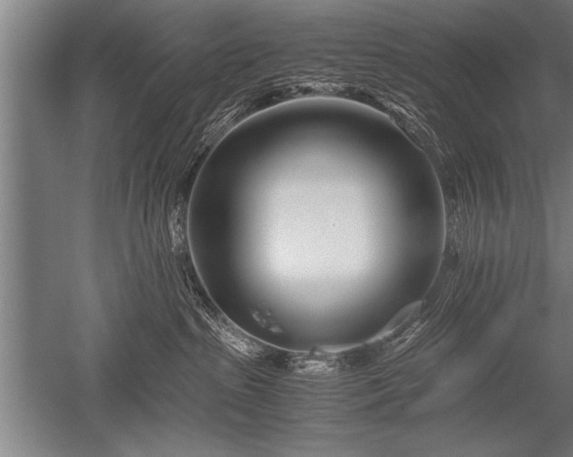X0000052600285200507081828