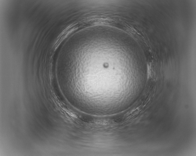 X0000052600291200507081827