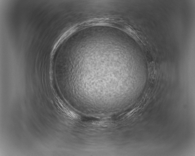 X0000052600293200507081827
