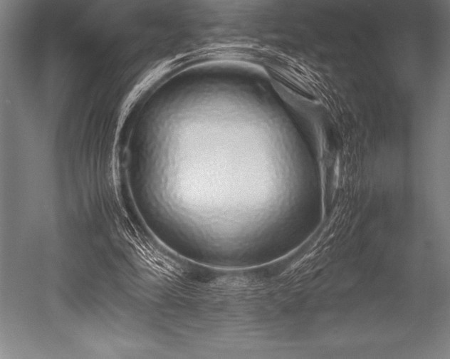 X0000052600294200507081827