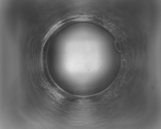 X0000052600296200507081827