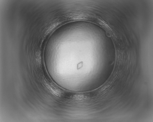 X0000052600298200507081827