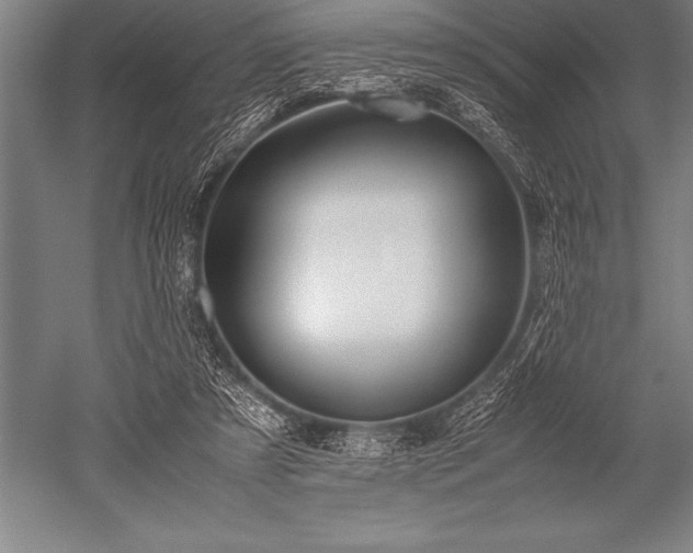 X0000052600305200507081827