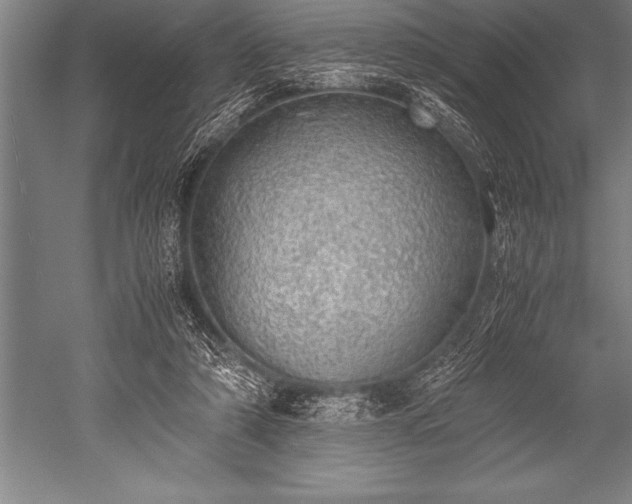 X0000052600306200507081827