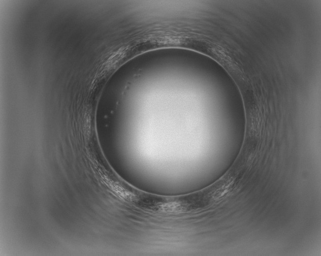 X0000052600309200507081827