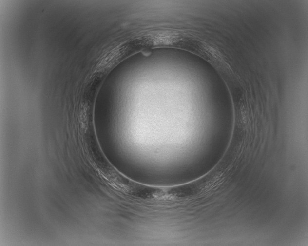 X0000052600311200507081827