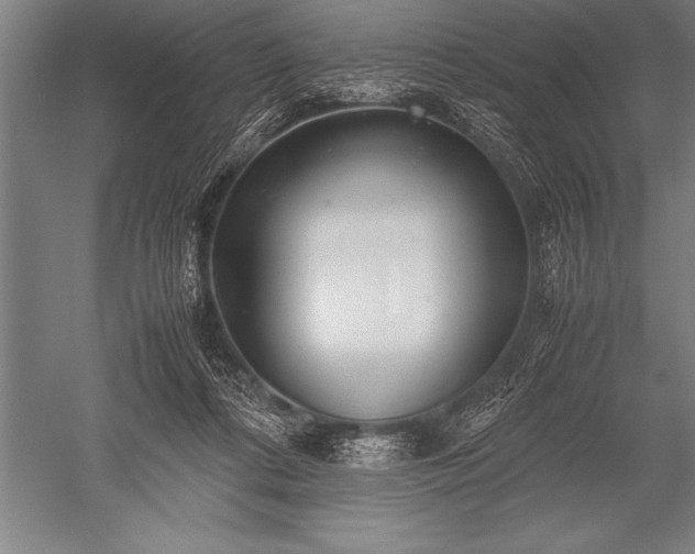 X0000052600312200507081827