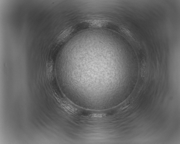 X0000052600314200507081827