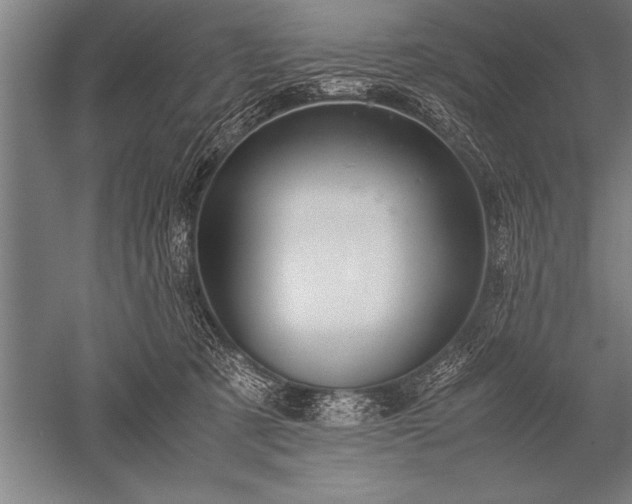 X0000052600321200507081827