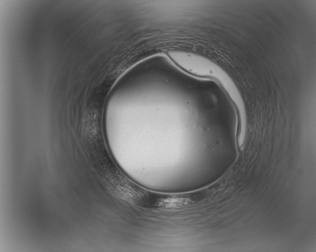 X0000052600323200507081827