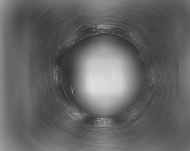 X0000052600328200507081827