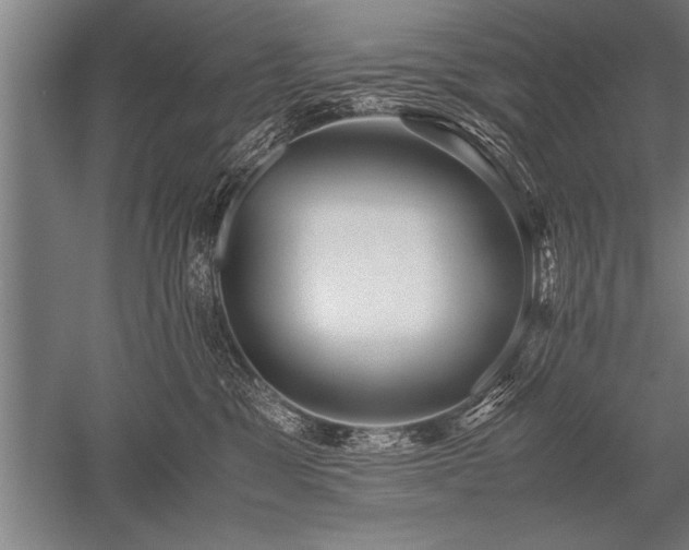 X0000052600329200507081827