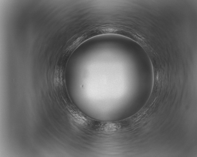 X0000052600330200507081827