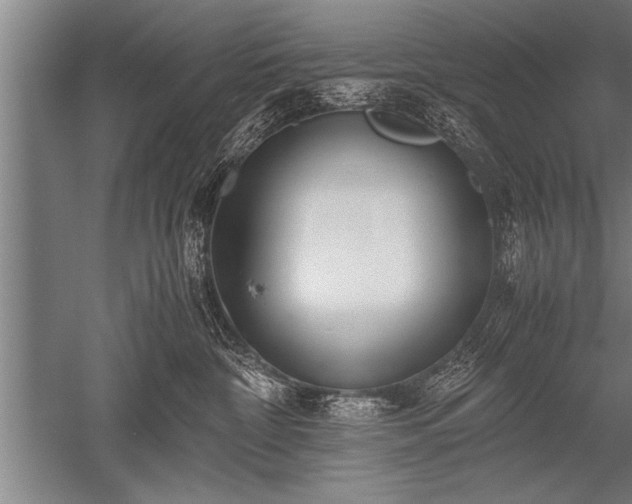 X0000052600332200507081827