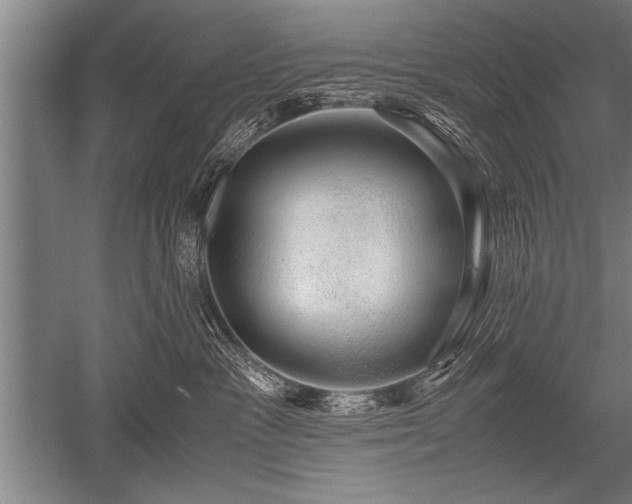 X0000052600333200507081827