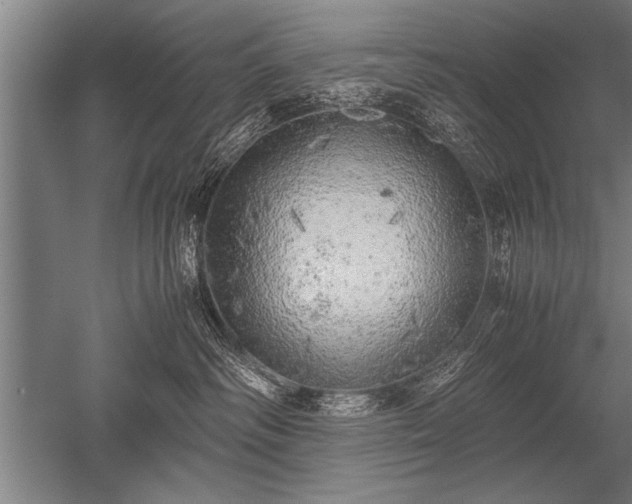 X0000052600334200507081827