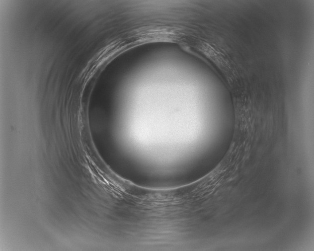 X0000052600338200507081826